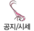 공지.시세